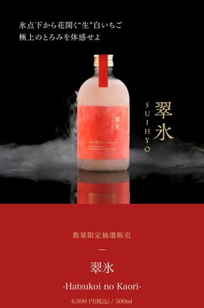 🍸翠氷 🍸