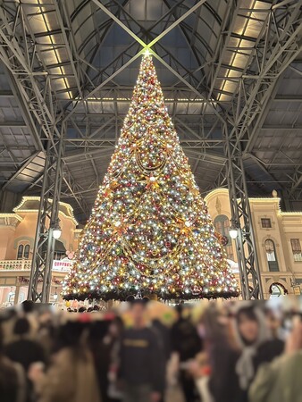 冬ディズニー🏰